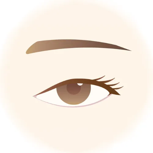 黒目が中心より内側が落ちている方