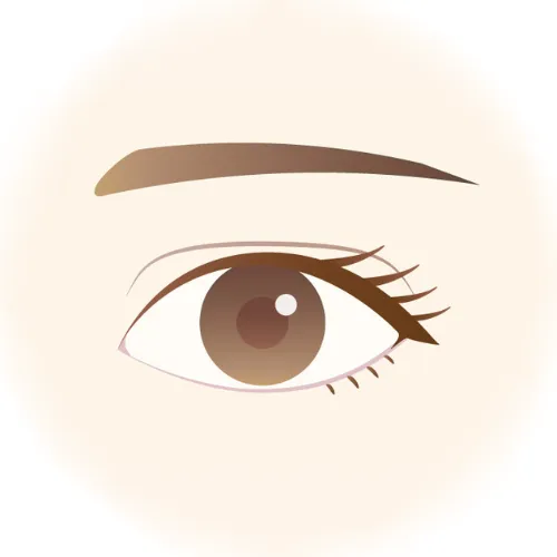 二重ラインが台形の方