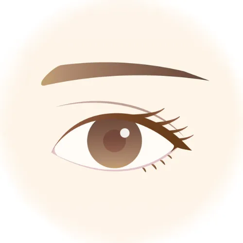 目頭の二重幅が広い方