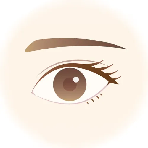 黒目の出ている量を調整したい方